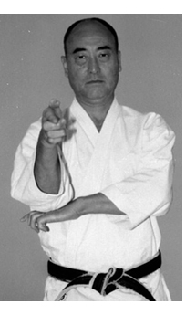 dokan karate abe sensei