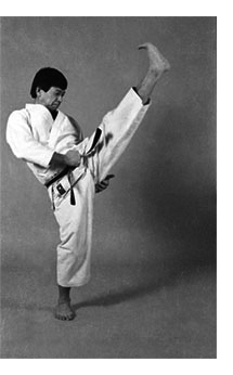 dokan karate okazaki sensei