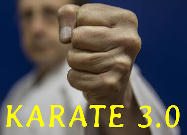 dokan karate drie punt nul