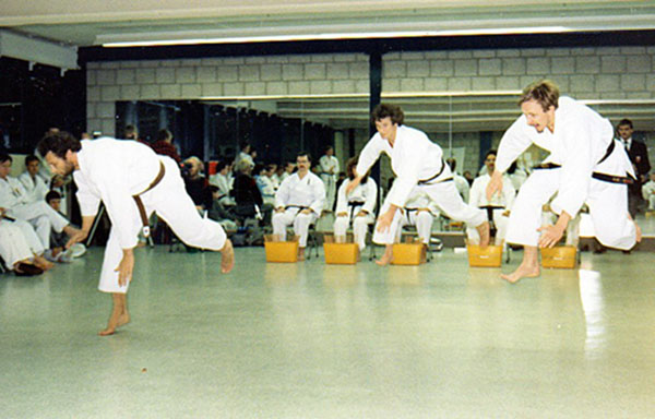 dokan karaten kata team