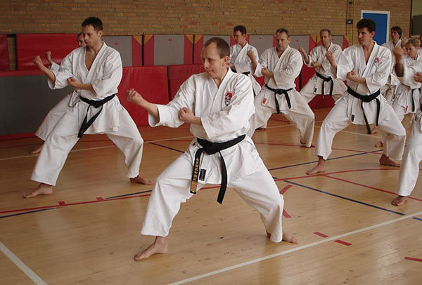 dokan karate stage sensei andre