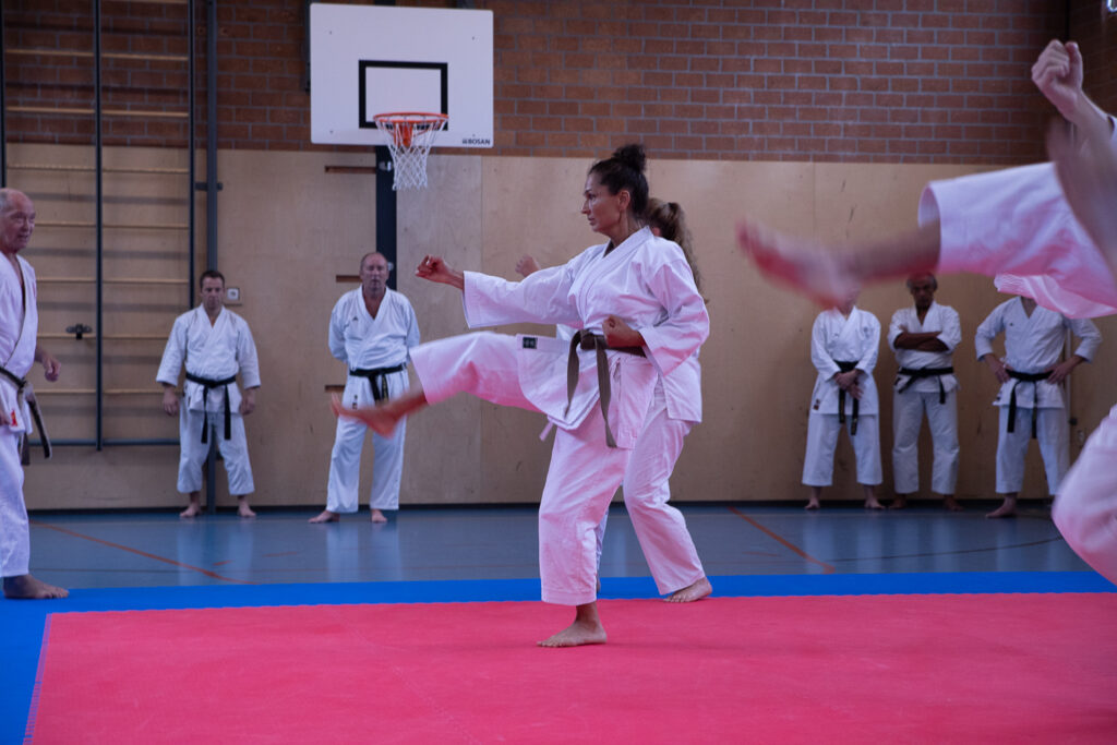 dokan karate dangraad examen