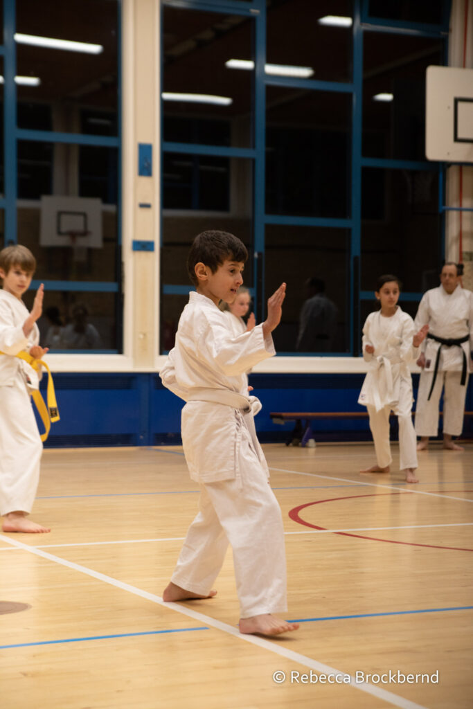 dokan karate kyugraden examens