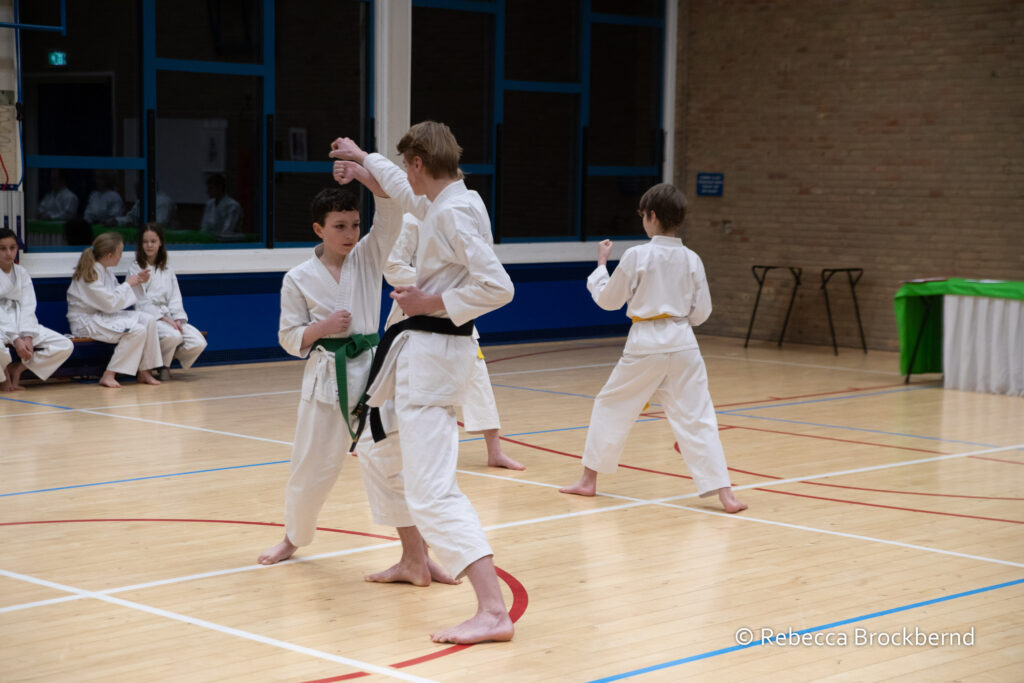 dokan karate kyugraden examens