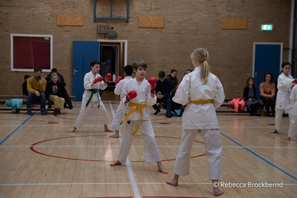 dokan karate kyugraden examens