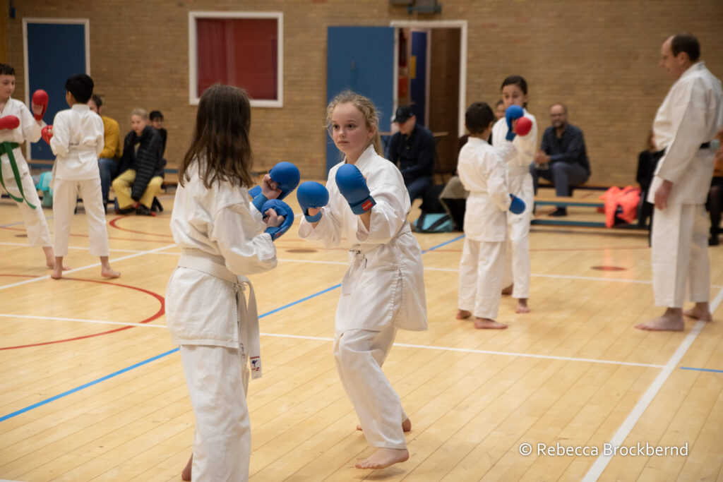 dokan karate kyugraden examens