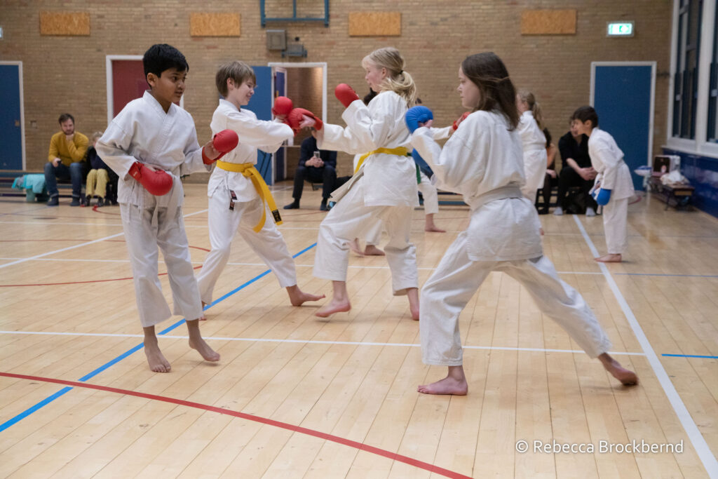 dokan karate kyugraden examens