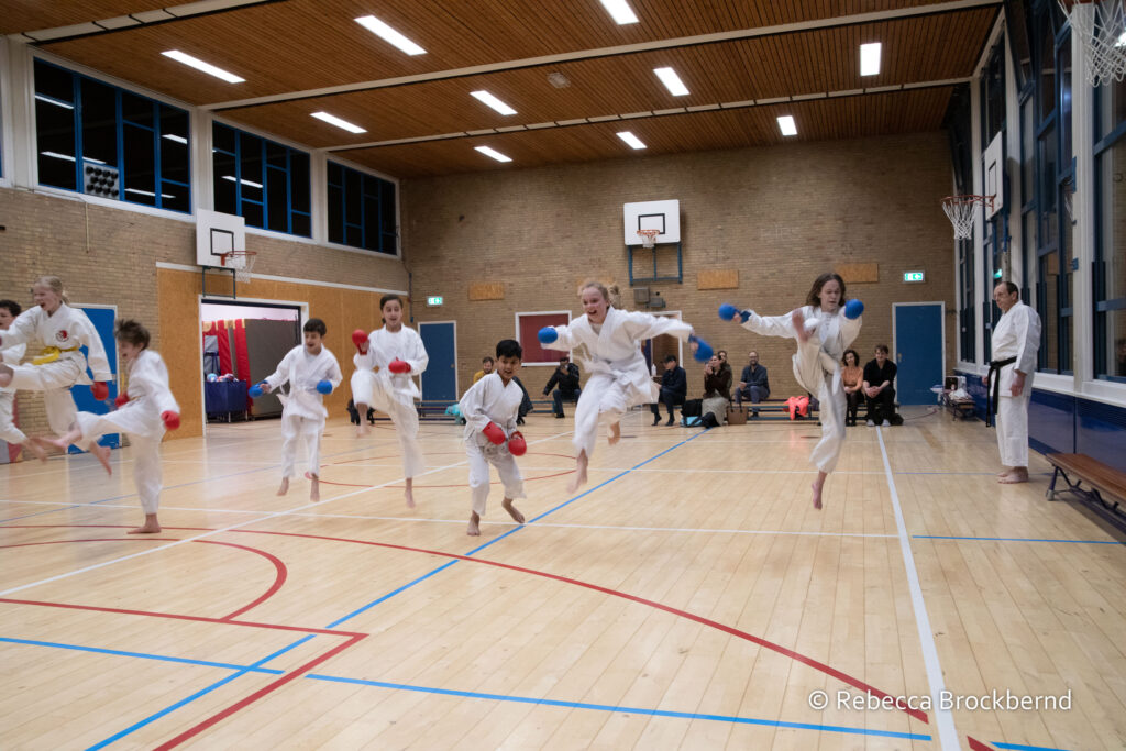 dokan karate kyugraden examens