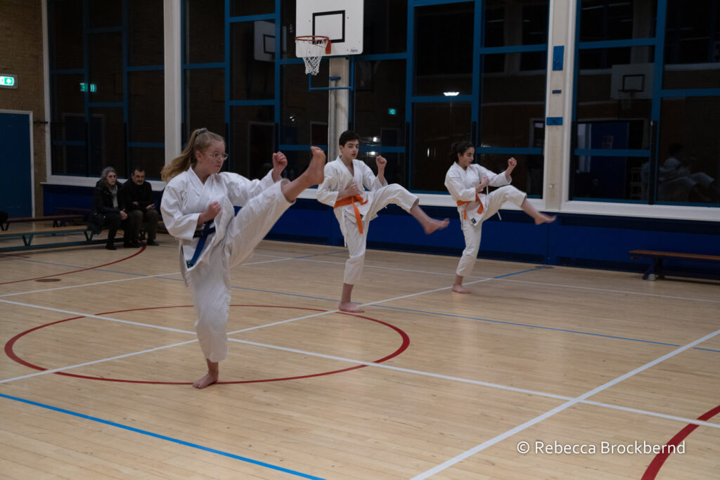 dokan karate kyugraden examens