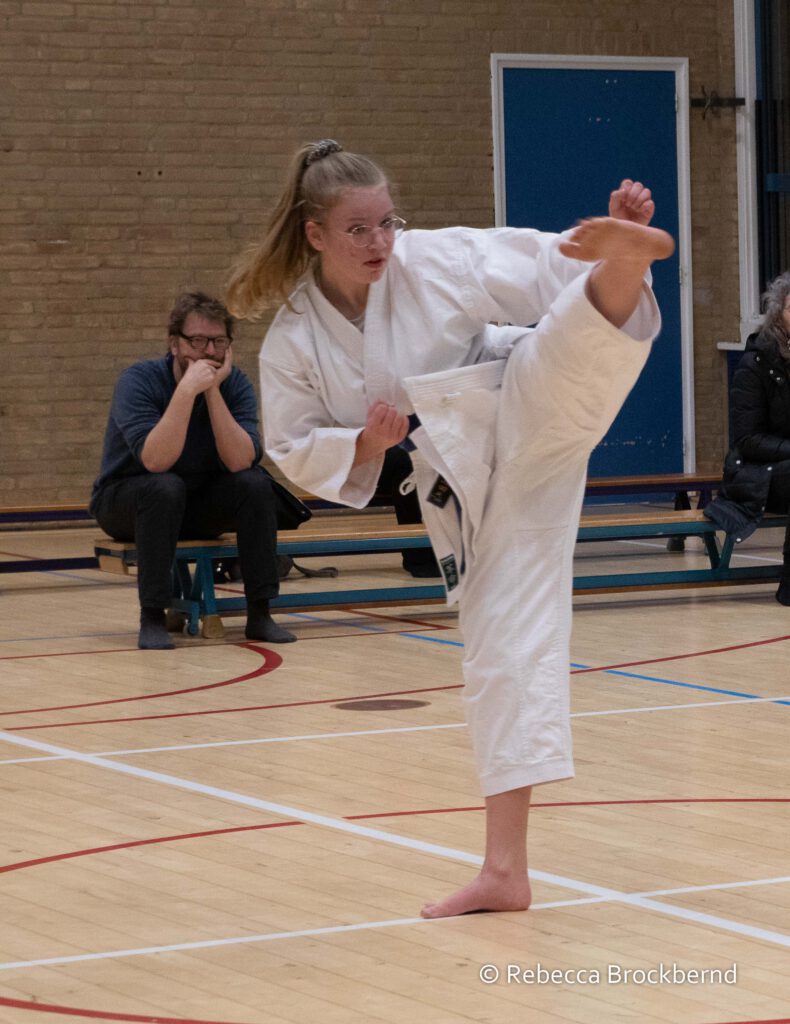 dokan karate kyugraden examens