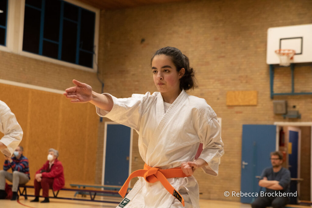 dokan karate kyugraden examens