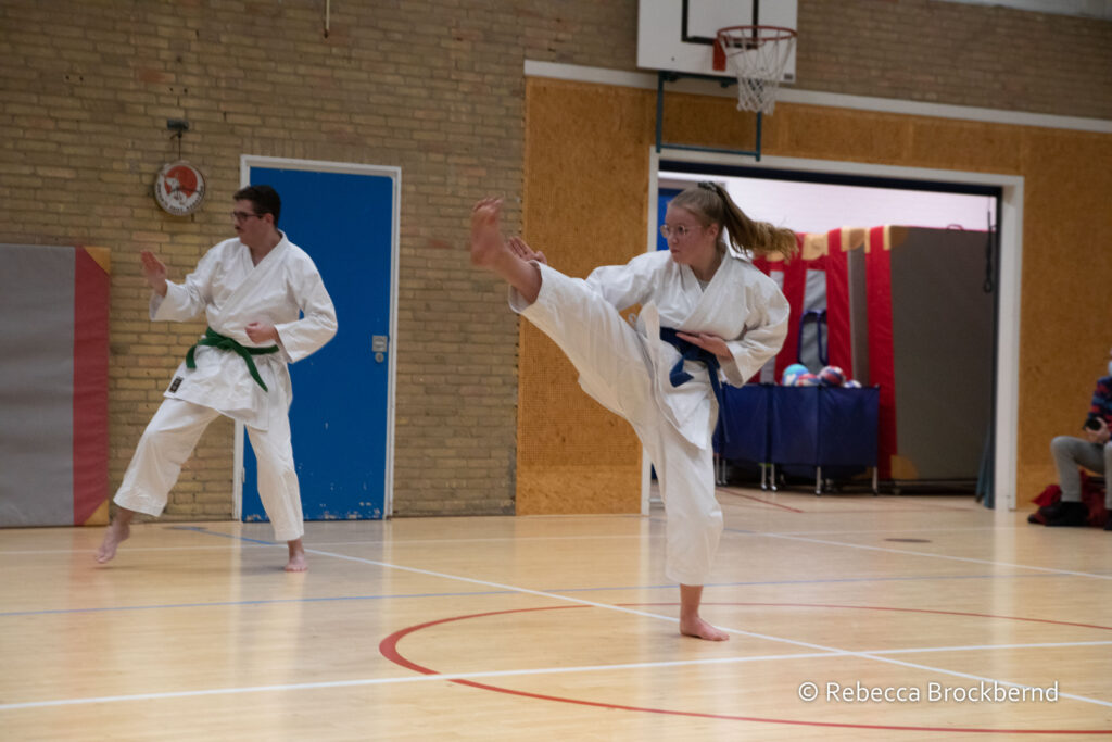 dokan karate kyugraden examens