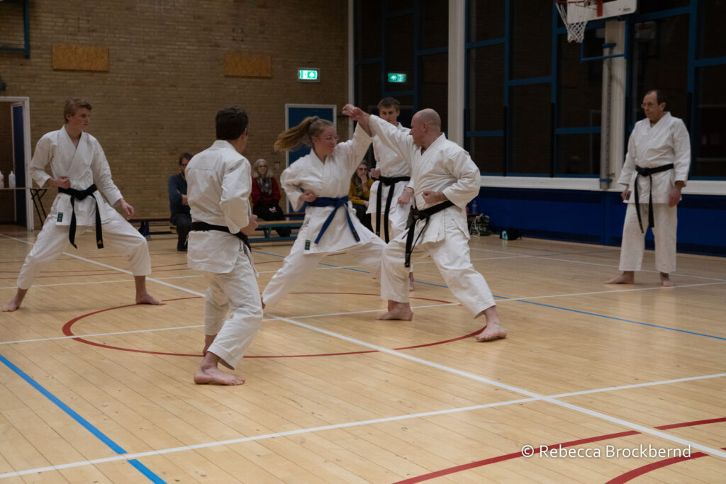 dokan karate kyugraden examens