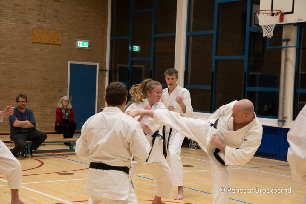 dokan karate kyugraden examens