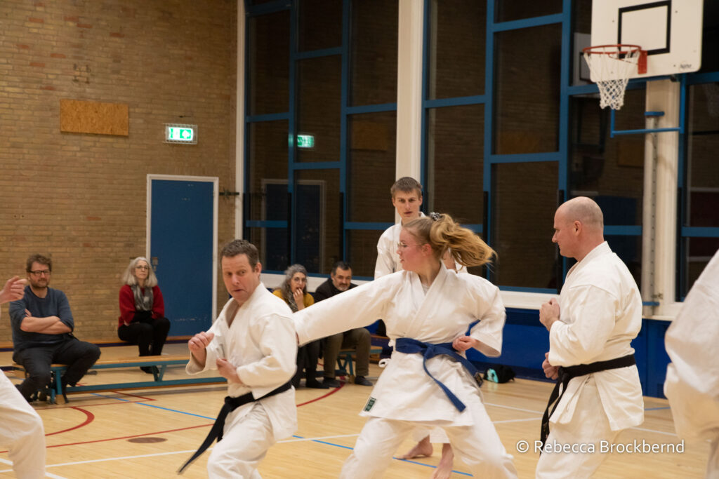 dokan karate kyugraden examens