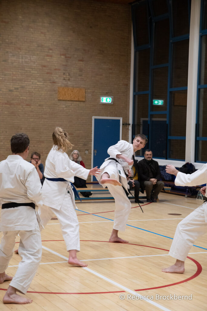 dokan karate kyugraden examens