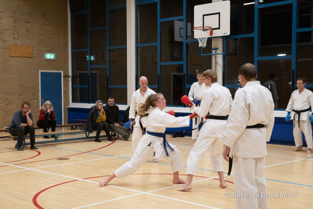 dokan karate kyugraden examens