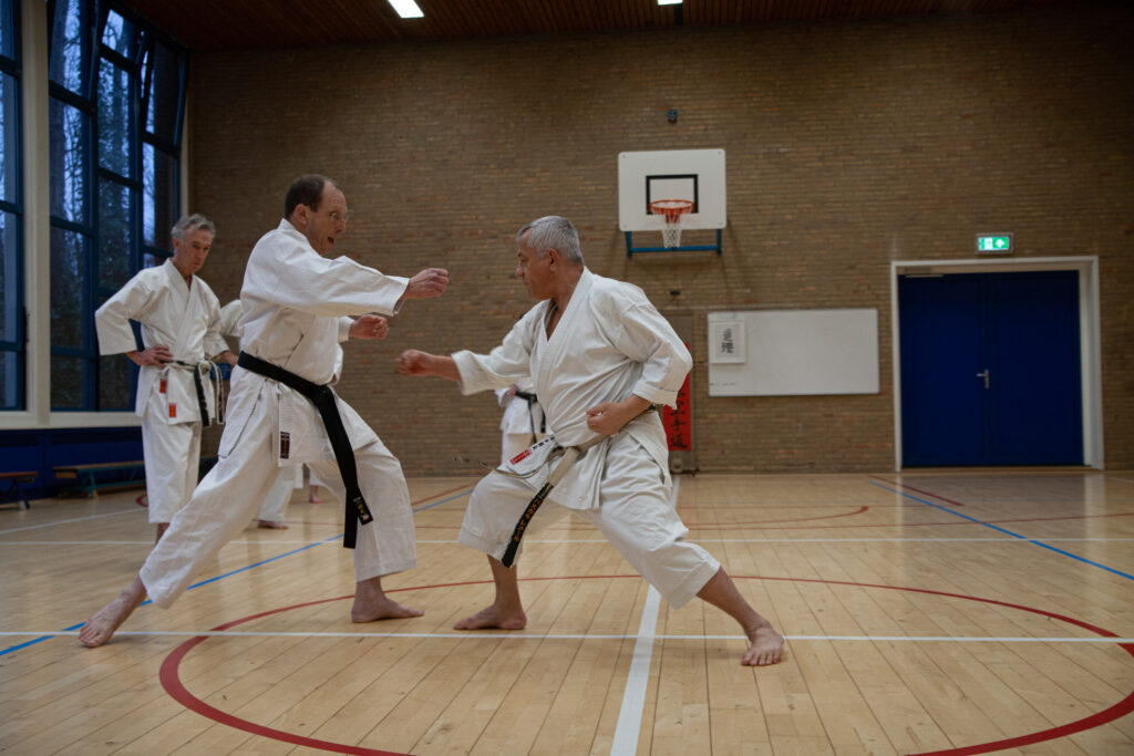 Dokan karate stage pascal lecourt