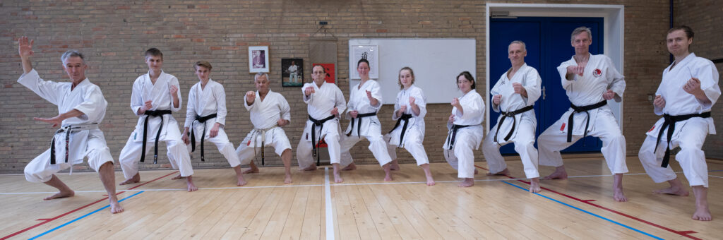 Dokan karate stage pascal lecourt