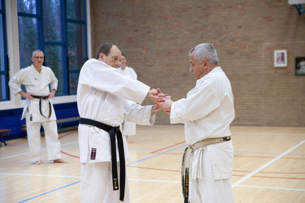 Dokan karate stage pascal lecourt