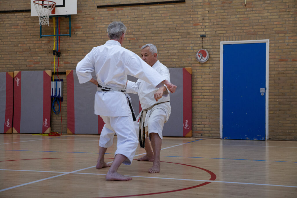 Dokan karate stage pascal lecourt