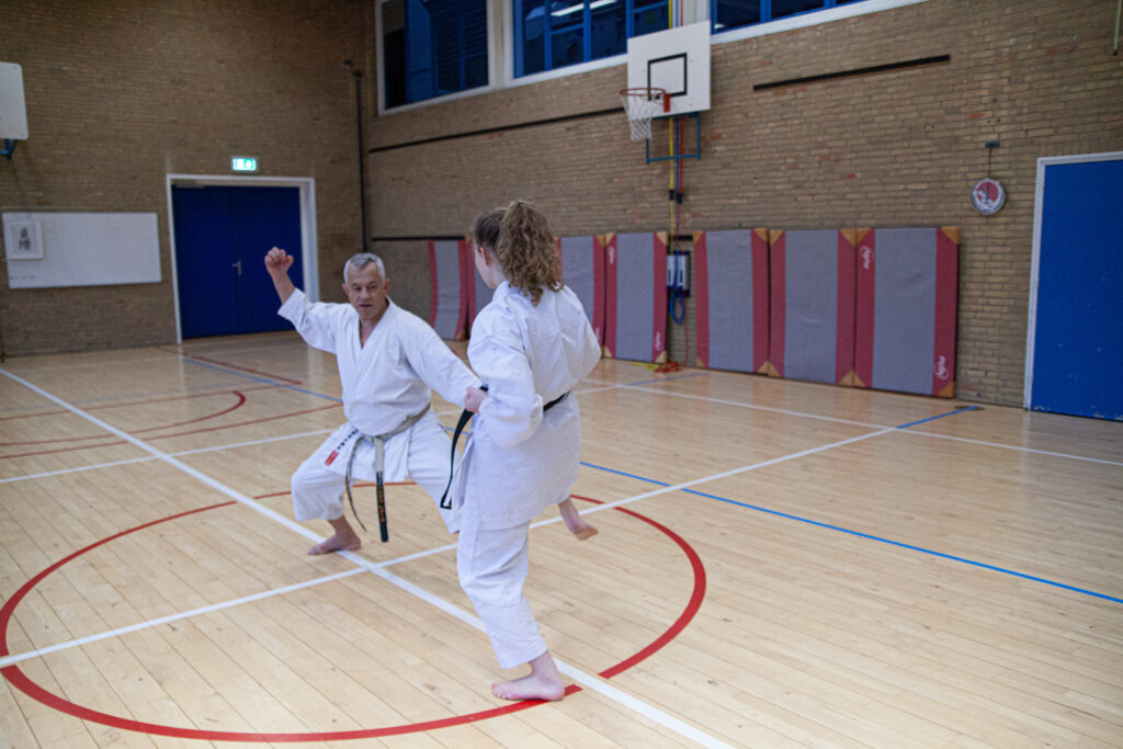 Dokan karate stage pascal lecourt