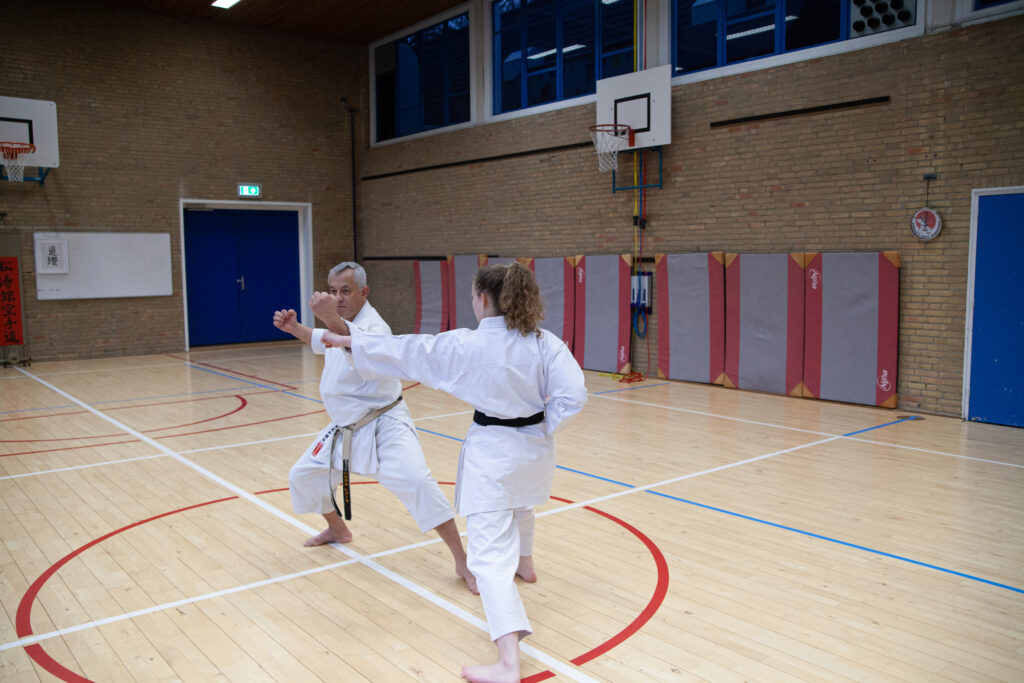 Dokan karate stage pascal lecourt