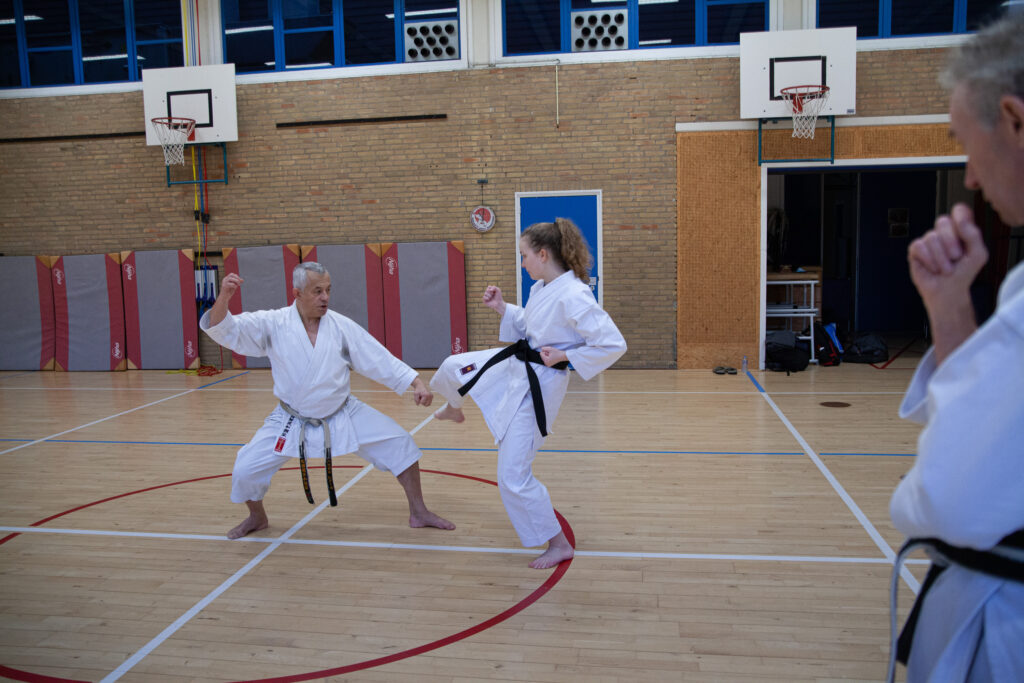 Dokan karate stage pascal lecourt