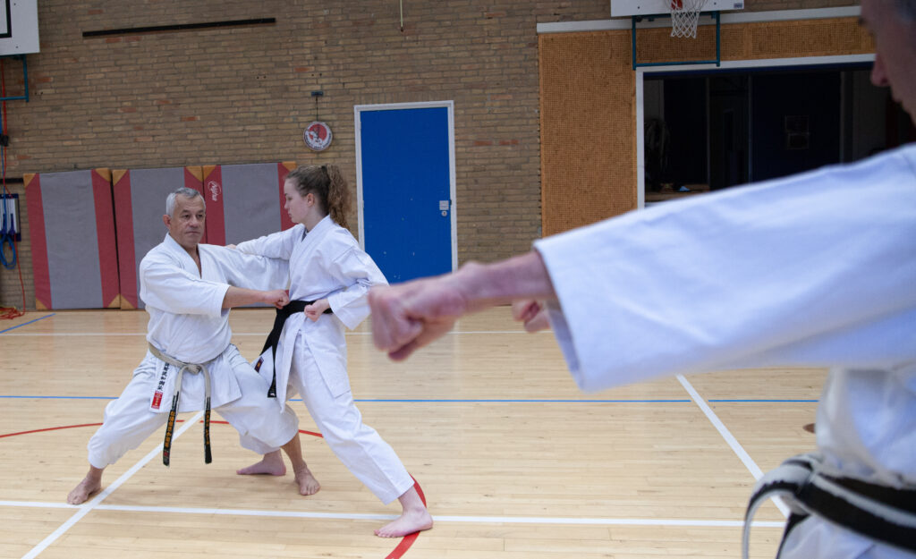 Dokan karate stage pascal lecourt