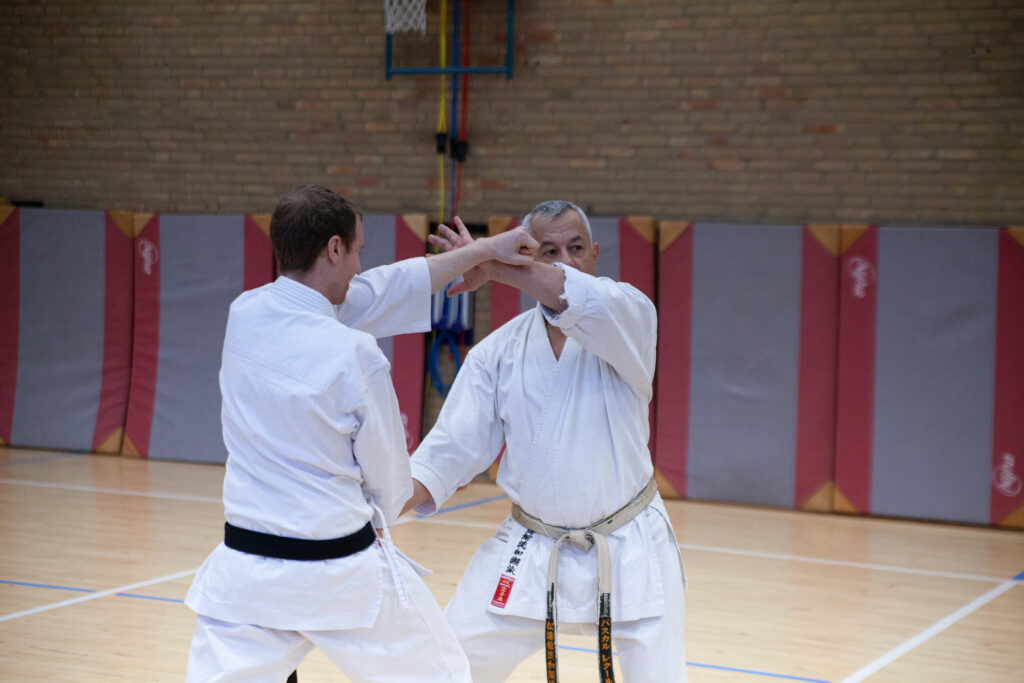 Dokan karate stage pascal lecourt